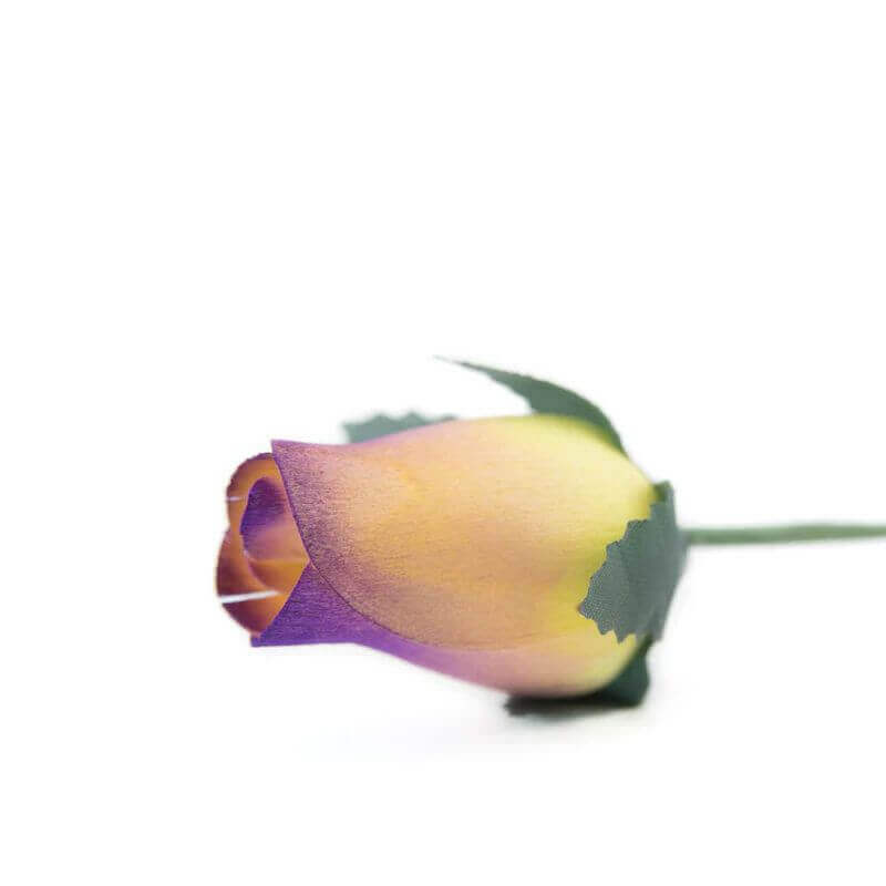 Wooden Closed Bud Rose #49 - Yellow With Plum Tips